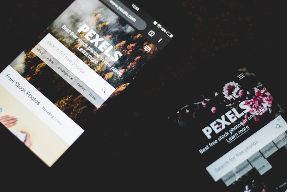 Etkili Site İçi Arama Kutusu Tasarımı