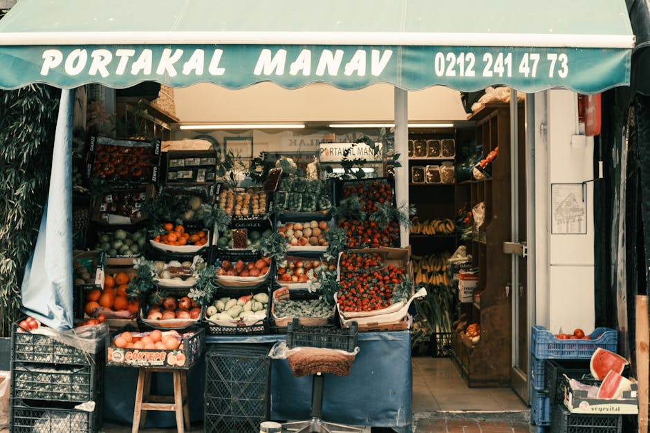 Isparta Yerel Dijital Görünürlük